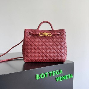 Bottega veneta BV 743568 Andiamo Small Handbag