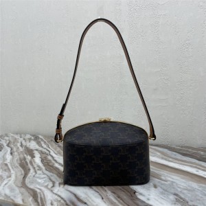 Celine women's bag LUNCH BOX handbag 196412