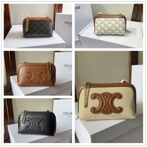 Celine 10E382/10E383 Chain Bag Handbag 101382