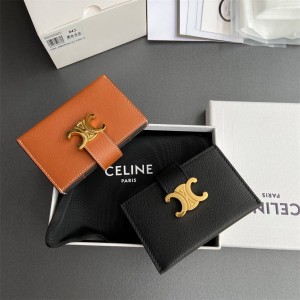 Celine 10N843 ACCORDION Organ Card bag