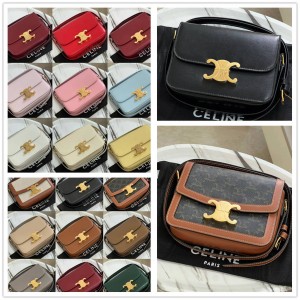 Celine 188423/188882 TEEN TRIOMPHE Handbag
