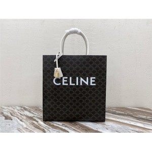 celine ABAS TRIOMPHE large canvas and calfskin vertical handbag 190402