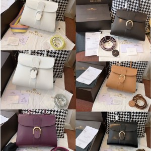 Delvaux Brillant Magic Rainbow Organ Bag