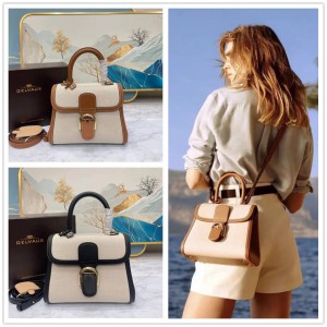 Delvaux Brillant PM 24 Canvas Handbag