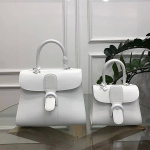 Delvaux Brillant Box Calf Mini/Medium Handbag