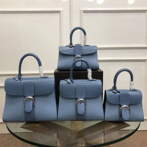 Delvaux Brillant MINI/PM/MM/EW Box Calf Handbag