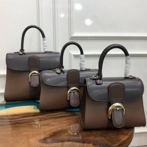 Delvaux Brown Brillant MINI/PM/MM/EW Box Calf Handbag