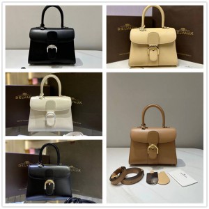 Delvaux Brillant PM Box Calf Handbag Ladies Bag