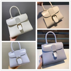 Delvaux Brillant MINI MM Box Calf Celebrity Bag Ladies Bag