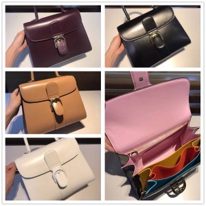 Delvaux Brillant Magic MM Box Calf Rainbow Bag Organ Bag