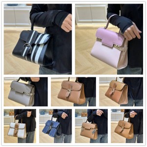 Delvaux handbag