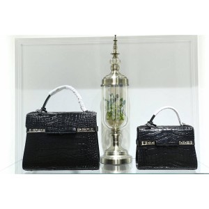 Delvaux bag classic crocodile print Temppete handbag