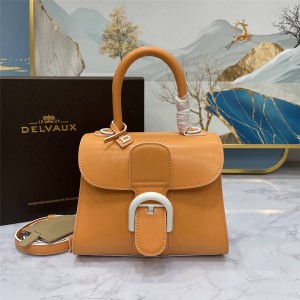 Delvaux Brillant MINI MM handbag