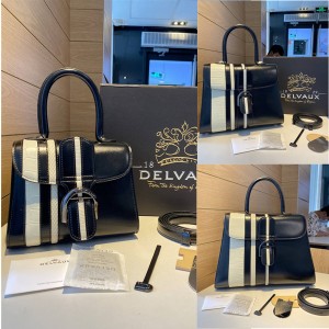 Delvaux and leather striped lizard and crocodile Brillant handbag