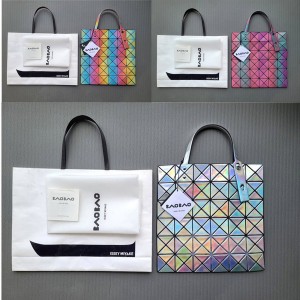 ISSEY MIYAKE rainbow colorblock 6-compartment handbag