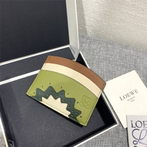 loewe new kiwi card holder