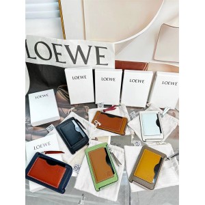 LOEWE New Colored Zipper Card Bag