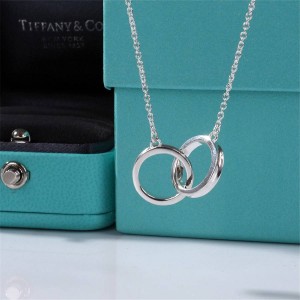 Tiffany 1837 TM Series Double Ring Ring Necklace