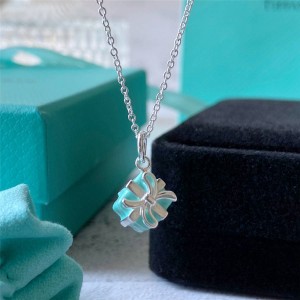 Tiffany Hong Kong official website gift box necklace