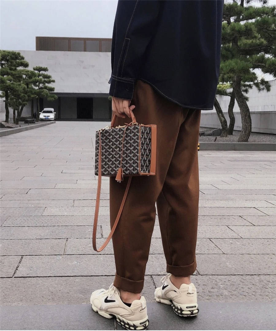 goyard box bag